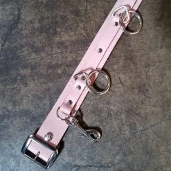 Ape Leather Plus Size 5 Ring Bondage Belt 7 Ape Leather Plus Size 5 Ring Bondage Belt