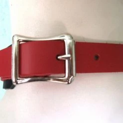 Ape Leather Choker With One Welded D-ring And O-ring - Red On Red Leather Men's Stuff