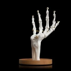 Suk UK Skeleton Jewelry Tidy Housewares